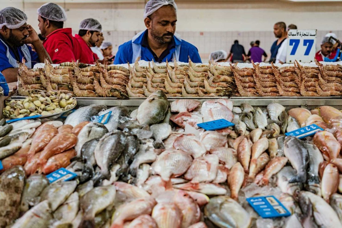 Sharjah Fish Market | Time Out Sharjah